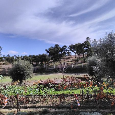 Monte Familia Ferreira Hotel Vale de Acor Kültér fotó