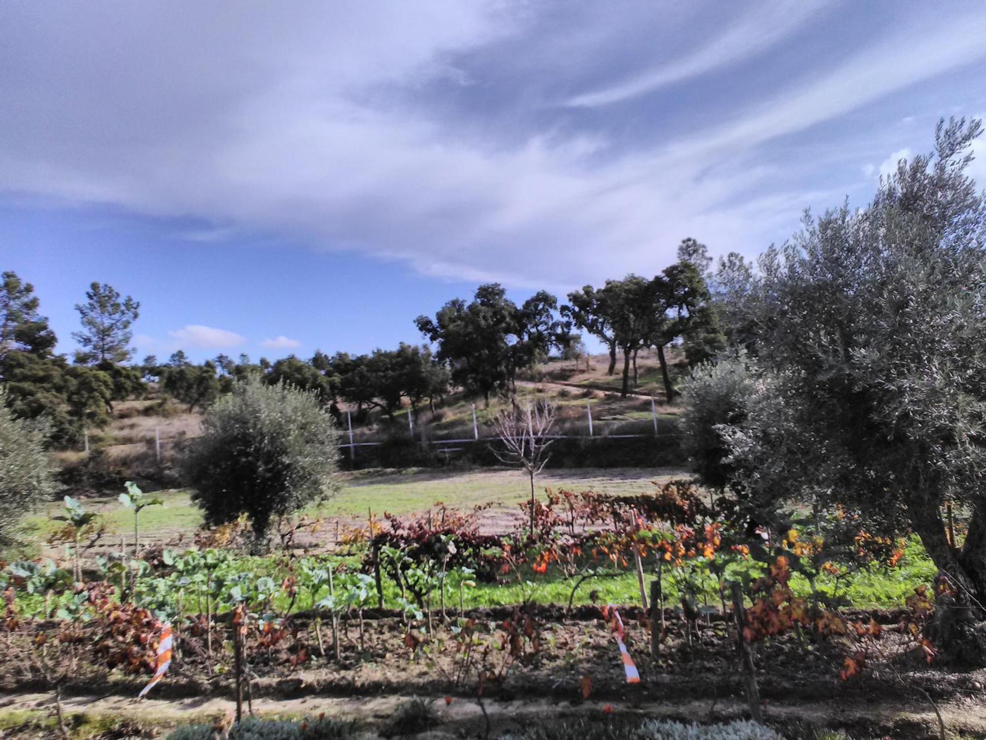 Monte Familia Ferreira Hotel Vale de Acor Kültér fotó